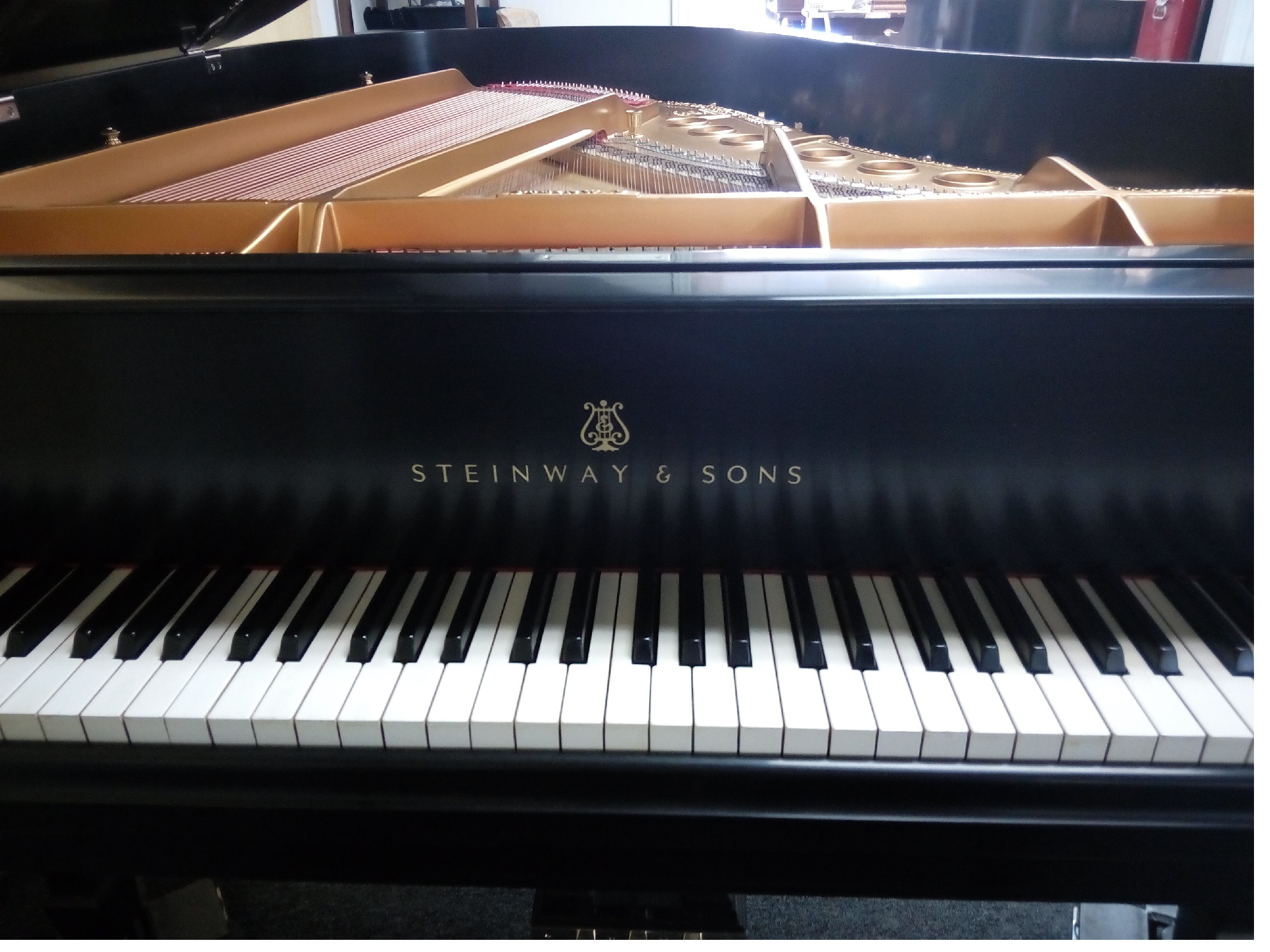 Steinway Model B Grand Pianos For Sale (909) 784-KEYS (5397)